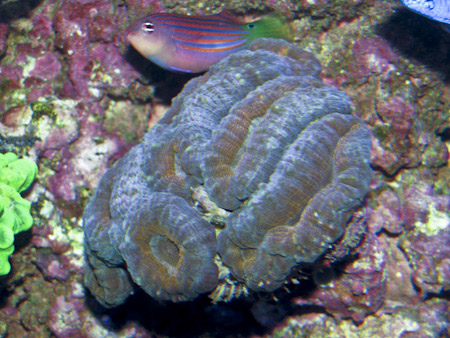 IMG_0780.jpg