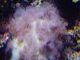P1010022_resize.JPG