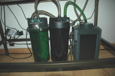 system