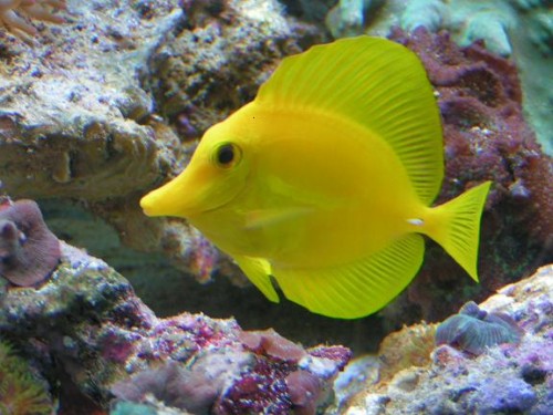 PICT0092.JPG