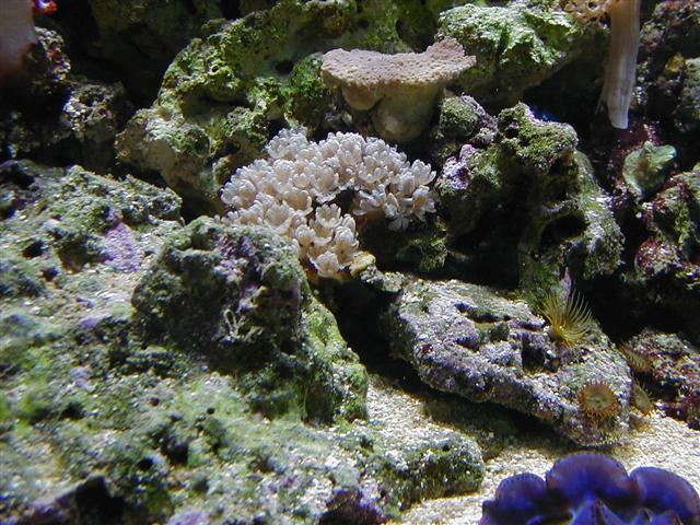 P1010036 (Small).JPG