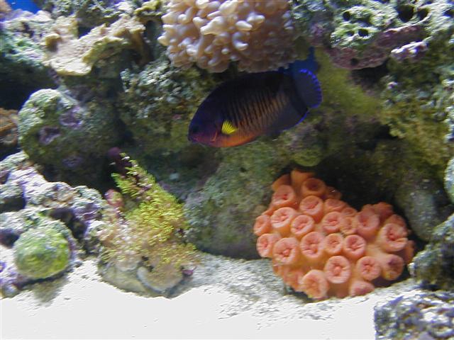 P1010034 (Small).JPG