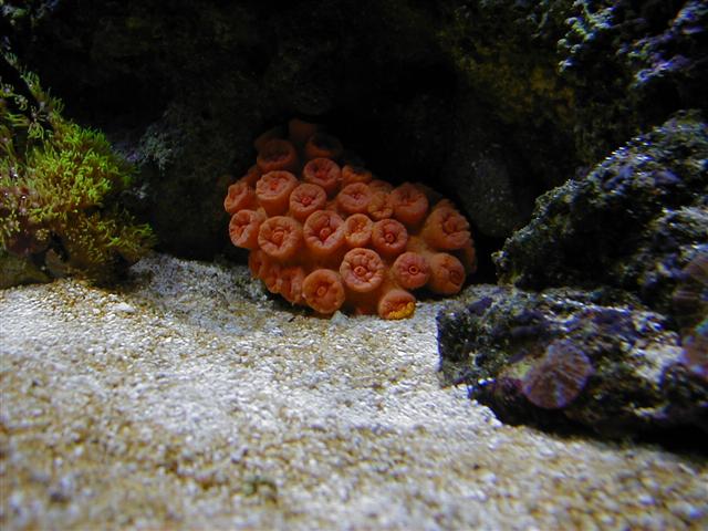 P1010044 (Small).JPG