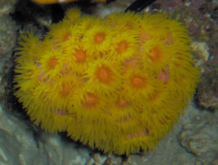 IM000517 (Small).JPG