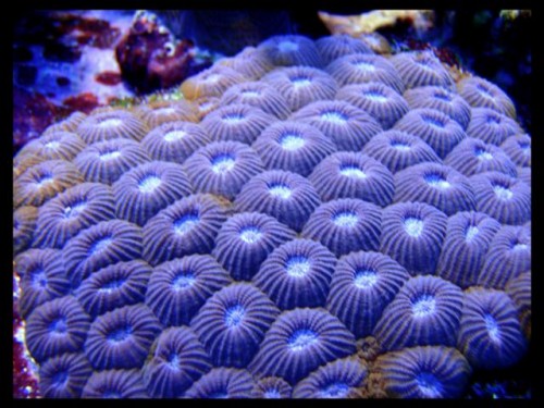 dec (60).JPG
