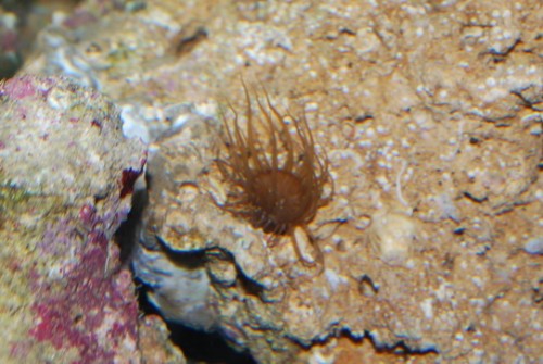 DSC_0003.JPG