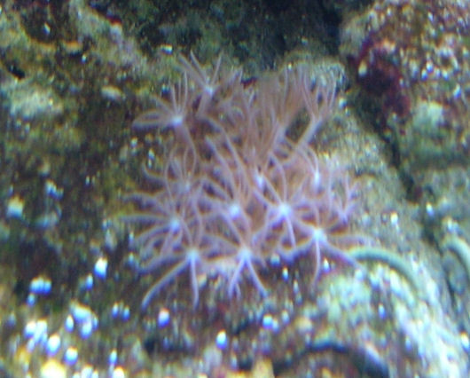 DSCF2249.JPG