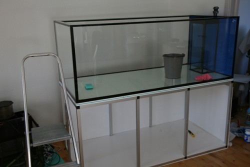 Akvariet:)