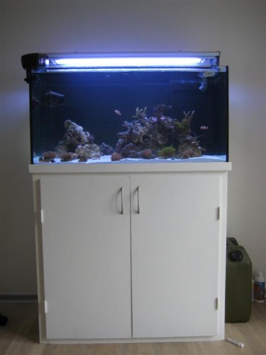 Full shot af hele systemet