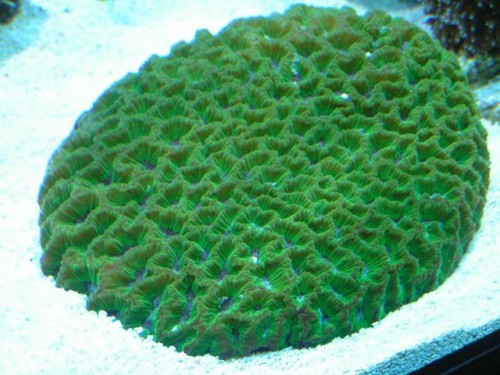 PICT0163.JPG