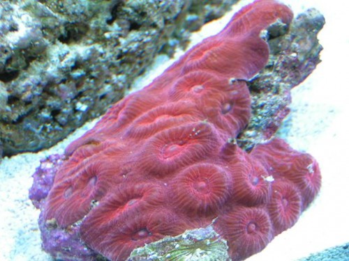PICT0159.JPG