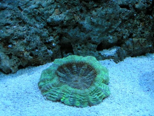 PICT0095.JPG