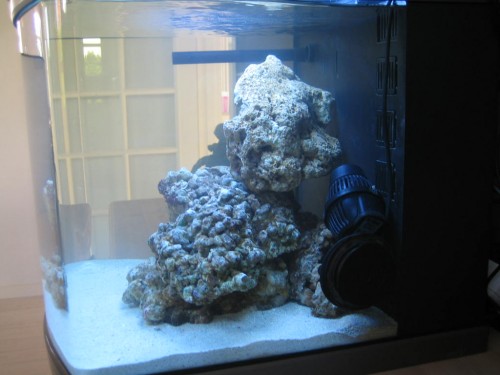 reef 013.jpg