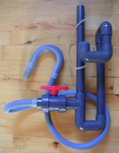 RIMG0075b.jpg