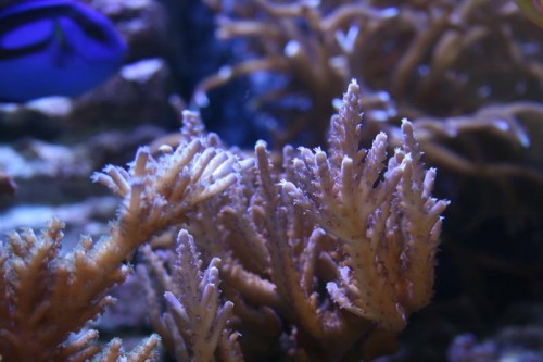 IMG_8170.jpg