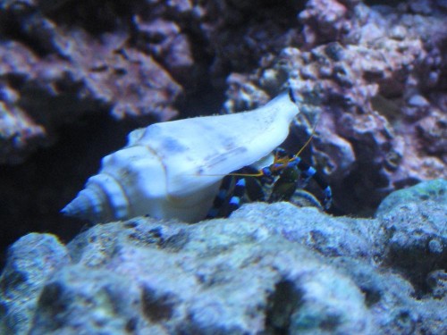 IMG_1574.JPG