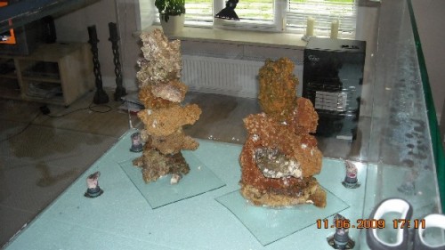 DSCN0377.jpg