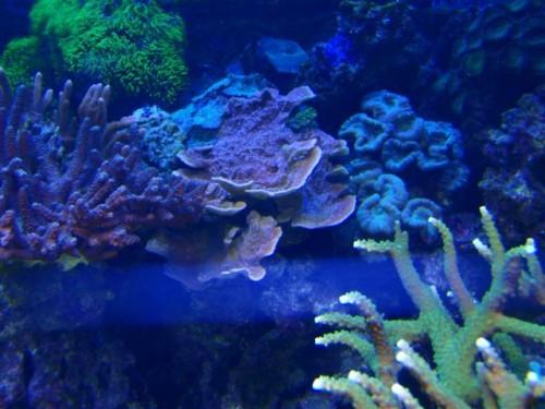 akv update 054 (Small).jpg