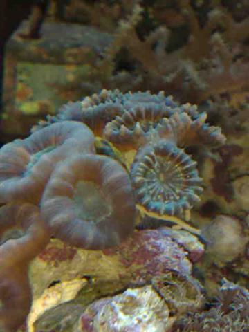 12062009208 (Small).jpg