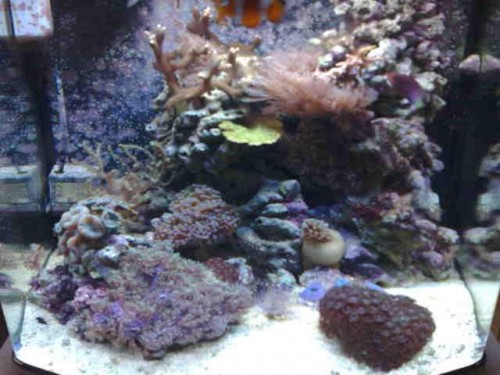 12062009211 (Small).jpg