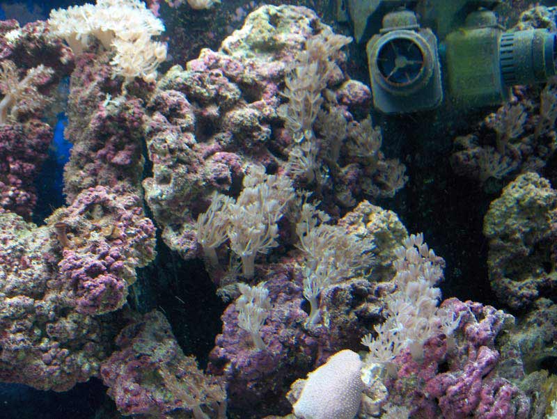 p-xenia-230406.jpg