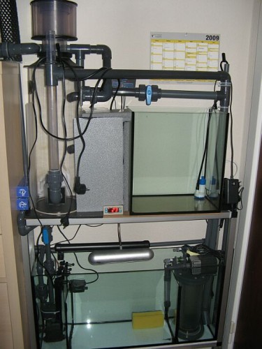 refugium