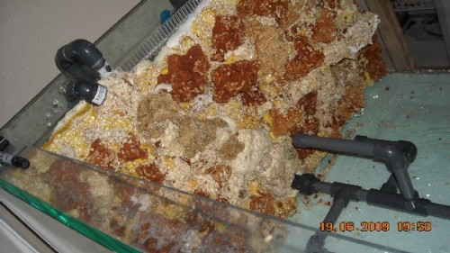 DSCN0390.jpg
