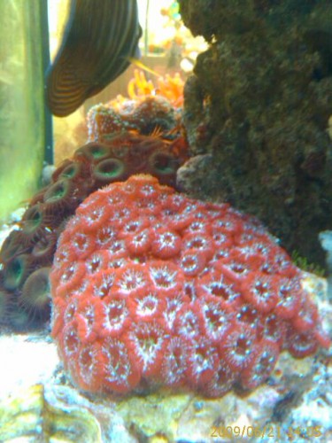 200906211405_051.jpg