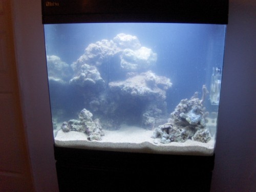 21/6 2009 - Første stensætning, uklart vand