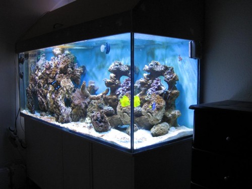 530'er 042 (Large).jpg