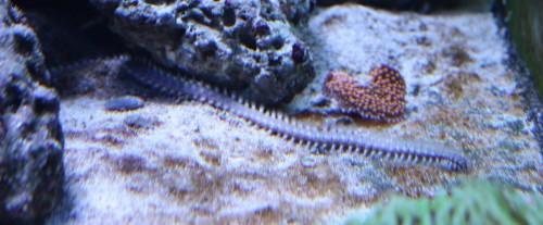 IMG_2467.JPG