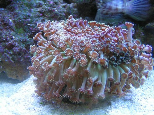 PICT0454.JPG