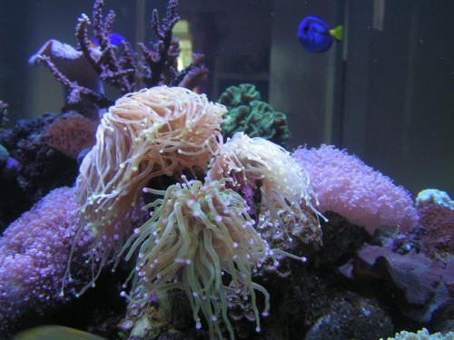 PICT0383.JPG