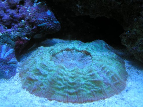 PICT0456.JPG
