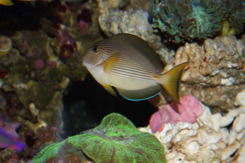 IMG_0331.JPG
