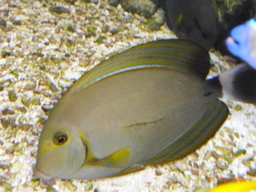 RIMG2153.JPG