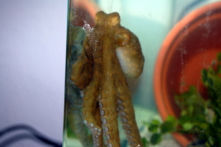 DSC_0038.JPG