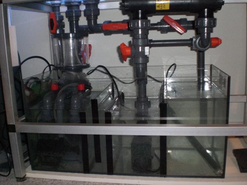 sump.JPG