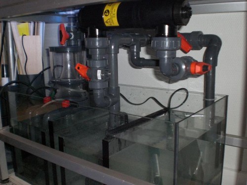 sump-2.JPG