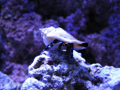 IMG_1736.JPG