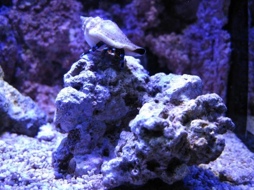 IMG_1740.JPG
