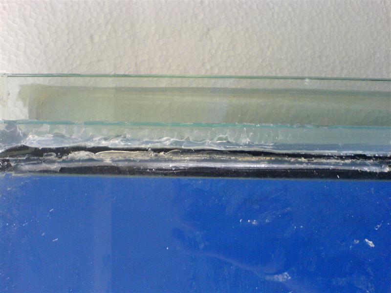 DSC00036 (Medium).JPG