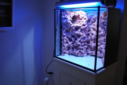 Lampe, small.jpg