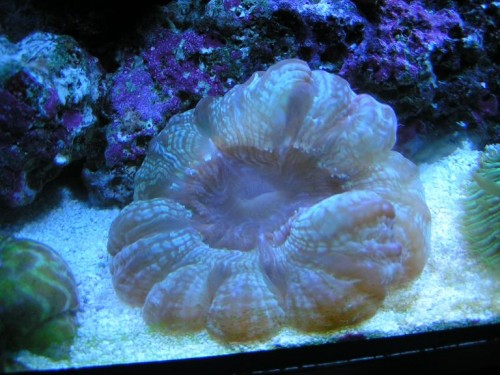 PICT0749.JPG
