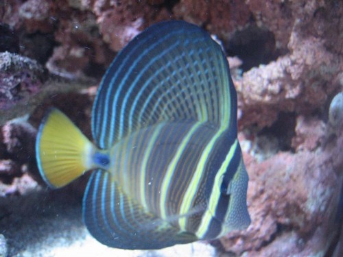 350L 27-08-09 010.jpg