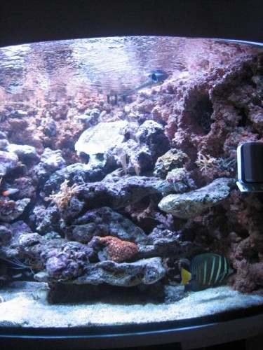 350L 27-08-09 004.jpg
