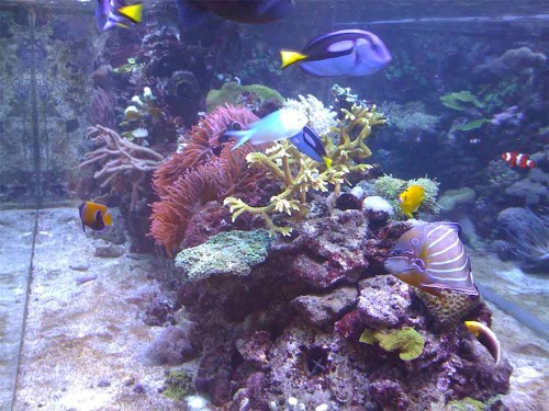 IMG_0351.jpg