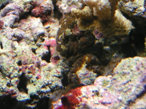 PICT0003.JPG