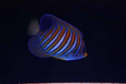 IMG_3031.JPG