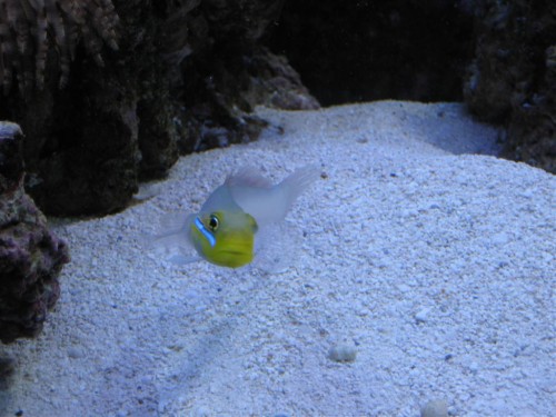 Billede 004 (Large).jpg